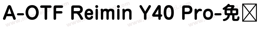A-OTF Reimin Y40 Pro字体转换